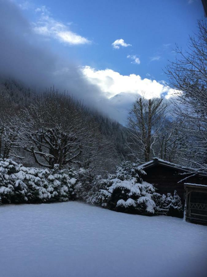 Chalet Des Petits Loups Chamonix Exteriér fotografie